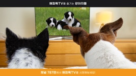 KT스카이라이프, ‘반려견 돌보미’ 해피독TV 신규 론칭