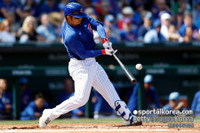 "오타니보다 더 괴물" 1139억 日 거포 스즈키, 2번째 멀티 홈런 폭발...시범경기 OPS 1.593 괴...