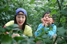 [인디스토리] 독립영화 배급 다원화 시대, 관객도 다양해지길