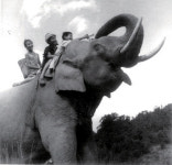 [외신기자클럽] 중국 뉴웨이브의 섬광적 순간