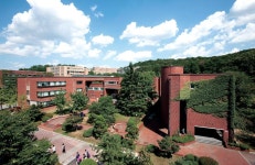 [서울시립대학교 국제도시과학대학원] 달콤한 우리의 도시