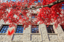 [경희사이버대학교] 경희사이버대학교, 2017학년도 전기 대학원 1월 9일부터 추가모집