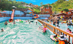 “묻고 더블로 가!” 우리들의 곽철용, 김응수의 이모저모