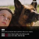 [리뷰] 책임보다 순정을 요구하는 착함 또는 순진함 팔마