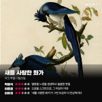 [리뷰] ‘새를 사랑한 화가’, 그린 도감이 더 인상적이다