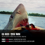[리뷰] ‘더 리프: 언더 워터’, 해상 스릴러 영화의 공식을 정석으로 따라가지만 그리 성공적이지는 못한