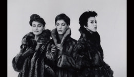 [특집]  59년의 선, 45개의 점 - 프레더릭 와이즈먼 감독 전작 정리