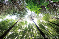 [연속기획 4] 부산영상위원회 아카이브 총서 <부산의 장면들> #2, ‘부산의 장소들’, 아홉산숲과 이종만 가옥