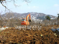 혁신도시 선정지역에 때아닌 나무심기 열풍