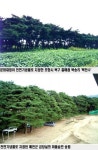포항 북천수·예천 송림 천연기념물 지정