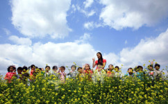 아빠 함평으로 나비보러 가요