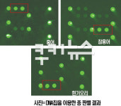 홍어로 둔갑한 가오리“조사하면 다 나와!”
