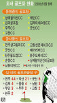 골프 대중화·산업화 뚜렷…전북도내 골프장 8곳·실내외 연습장 91곳 성업