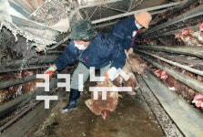 축산분뇨 에너지자원으로 활용한다