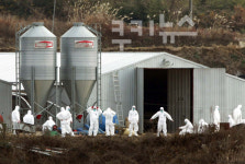 AI 익산 매교마을 르포…주민 외출 뚝 끊겨 방역요원만 북적