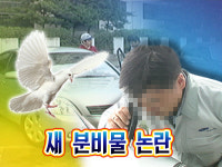 [KUKI뉴스] SM5， 새 분비물로 며칠만에 도장 균열?