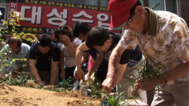 부평역 인근 부평시장이 한평공원으로 거듭나는 이유
