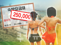 [KUKI뉴스]바가지 요금 없다는 경포해수욕장，하지만 여전히 바가지 상술 극성!