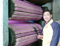 국내 유일 성냥공장 의성 ‘성광성냥’…반세기 꿋꿋이 지켜온 ’불꽃 家業’