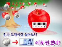 왜 비싼가 했더니… 불법 판치는 농수산물 도매시장