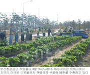 부산환경공단， 하수처리장 무공해채소 불우이웃에 선물