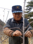 청송 농장서 일하는 중국교포 ″자식 살려준 은혜 어찌 갚나″