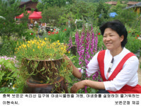 충북 속리산 토종야생화 보러오세요