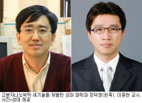 성대연구진，고분자나노박막 새기술 개발