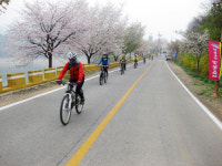 제천시 자전거 중심지로 부상…산악·주니어 선수권에 이어 BMX 대회까지