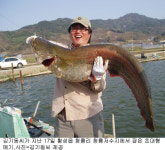1.3m 국내 최대 초대형 메기 잡혀