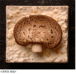 휘어지는 태양전지, 버섯 단열재…놀라운 녹색기술