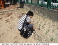 은둔했던 철이가 텃밭가꾸기 까지