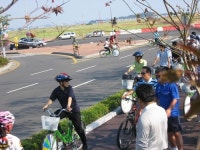 인천시청∼송도 중앙공원 자전거도로 생겼다