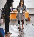 “애완견도 ‘사회화’가 필요해”…‘강아지 유치원’ 등장