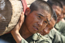 임창정, 삼청교육대 학력위조?