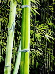 [문화단신]화가 최호정 첫 개인전 外