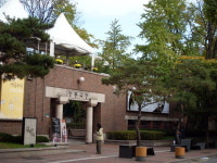 [블로그]2008 늦가을 정동, 단풍의 선율에 물들다