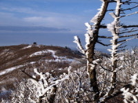 [여기 어때]겨울 태백산, 오! 눈부신 눈꽃