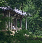 [여기 어때]전남 함평 모평마을, 천년 된 우물과 수백년 된 고택