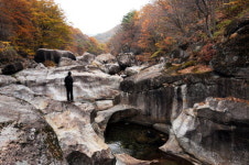 [여기 어때]하동 의신마을, 수줍은 산골단풍 물길따라 ‘활활’