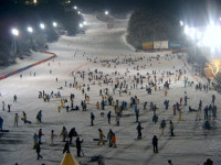 [여기 어때!] 양지 파인리조트