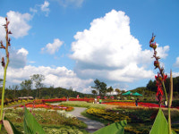 [여기 어때!] 여주 해여림식물원, 花르르 타는 꽃···스르르 지는 봄