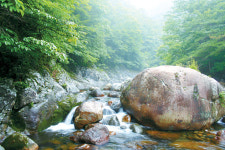 [여기 어때]산청의 계곡, 선녀 놀던 맑은물 마음도 씻어볼까