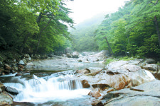 [여기 어때]산청의 계곡, 선녀 놀던 맑은물 마음도 씻어볼까