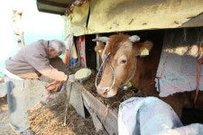 [블로그]‘워낭소리’ 현지르포