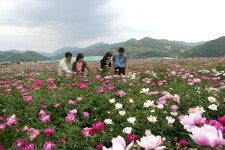 지금 산청에 가면 ‘花들짝’