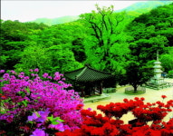 전철따라 떠나는 봄 산행