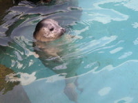 서울동물원 희귀동물 잇단 출산 경사