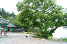 [물따라 길따라] 전북 김제 ‘만경들녘 코스’