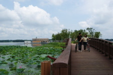 [물따라 길따라] 전북 김제 ‘만경들녘 코스’